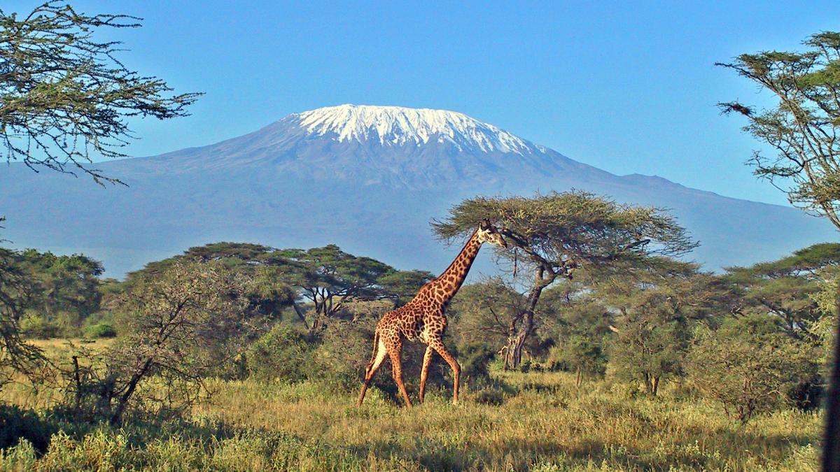 Kilimanjaro - Amboseli National Park